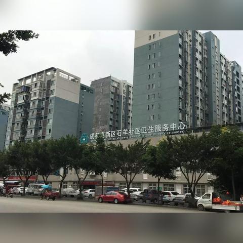 成都市石羊场地铁规划的长尾关键词有哪些