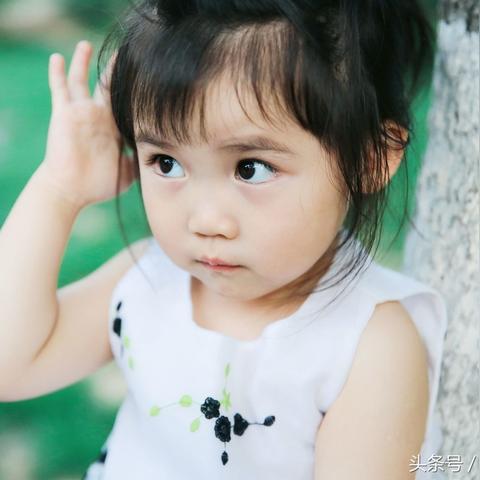 南宁小学课本版本？