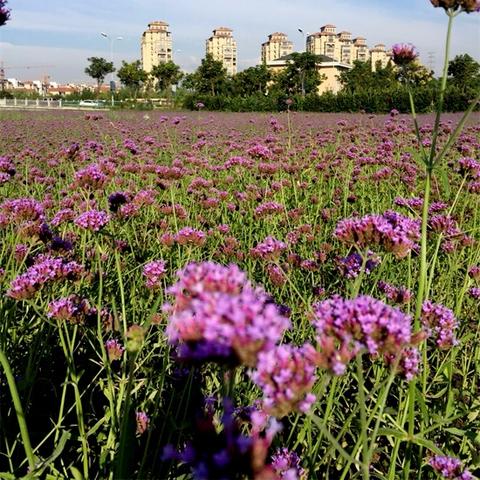 宁波市湖下路是哪个街道