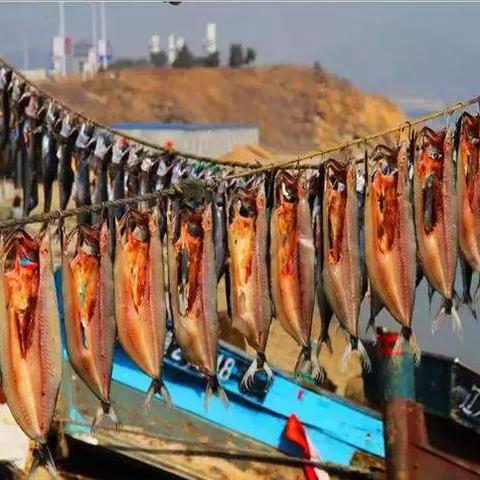 大连到盐场的长尾关键词有什么