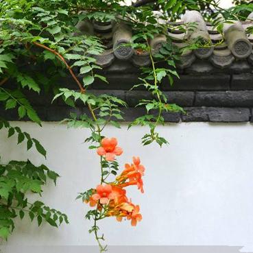 上海特色庭院有哪些