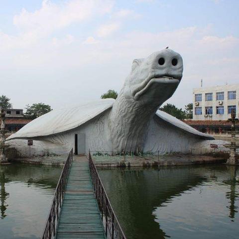石家庄市摘冬枣在哪里