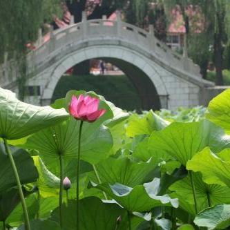 河南许昌开封怎么样