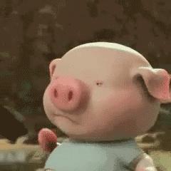 跨境专线网络tiktok直播的相关长尾关键词有哪些