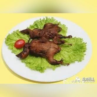 牛年生肖鸡学业运势(牛年生肖酒波波酱酒)