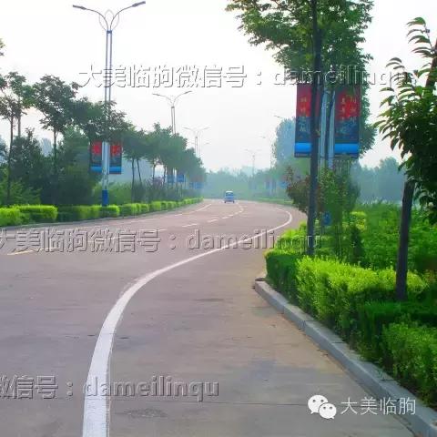 临沂市辛寨哪个县的