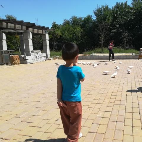 厦门 护照 办理的相关长尾关键词有哪些