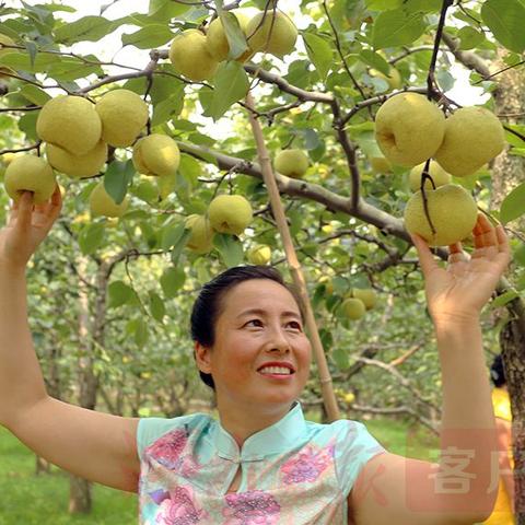 相亲海外电商 相关的长尾关键词有什么