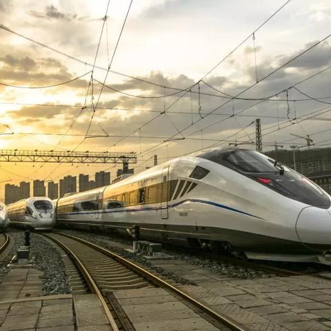 哈尔滨山竹多少钱一斤相关长尾关键词有哪些