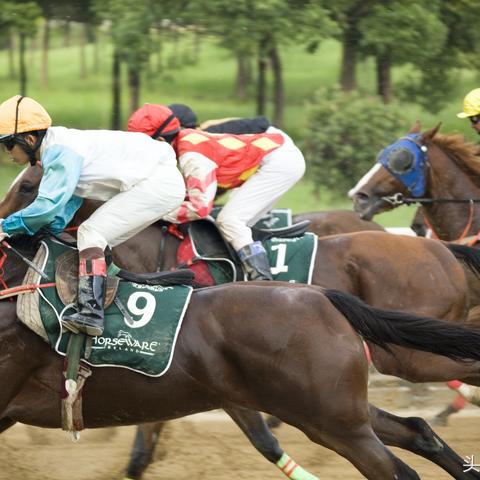 1926年8月7日在汉口召开著名的8期会议？