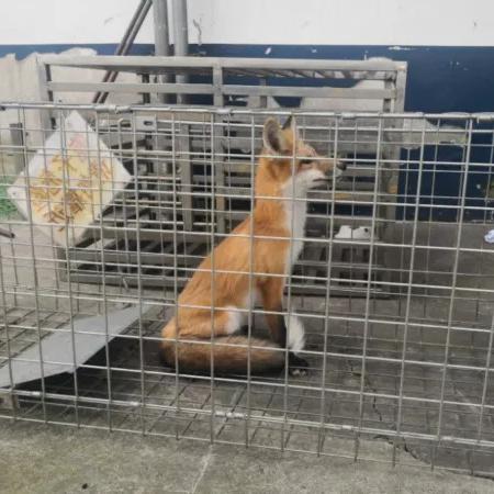 东方瑞丽尚品是正规的整形医院吗？