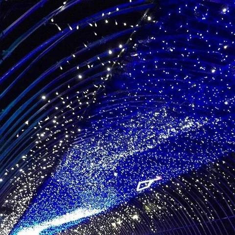 十二生肖8月13日运势(十二生肖8月13日运势查询)