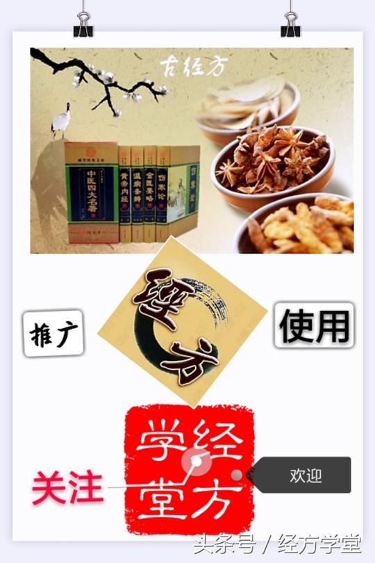 经方大家黄煌教授的药人方人学说（经方体质在经方临证的作用）