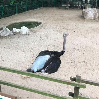 上海鹦鹉老店有哪些品牌