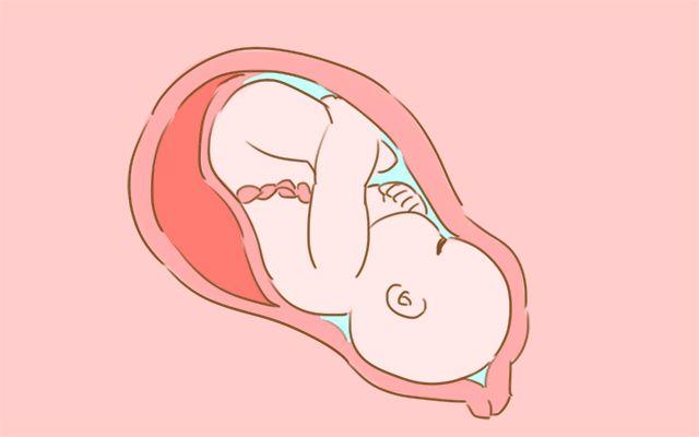 孕晚期常见不适及家庭护理