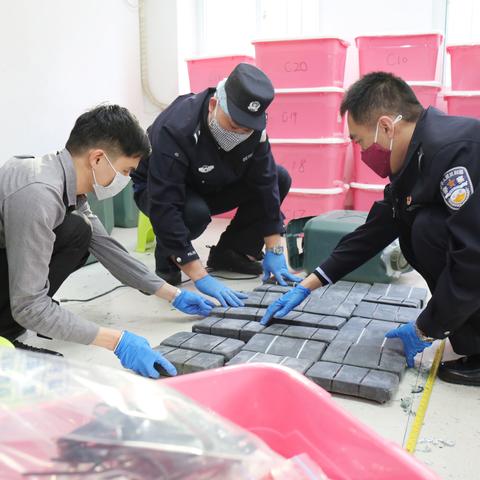 深圳大概有多少跨境司机