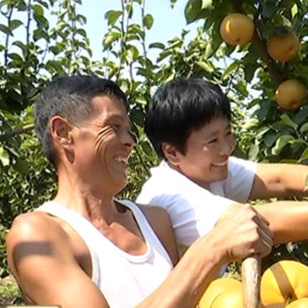 邯郸市梨园夜景哪里好玩