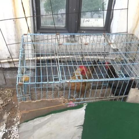 江苏无锡市衣服店在哪里