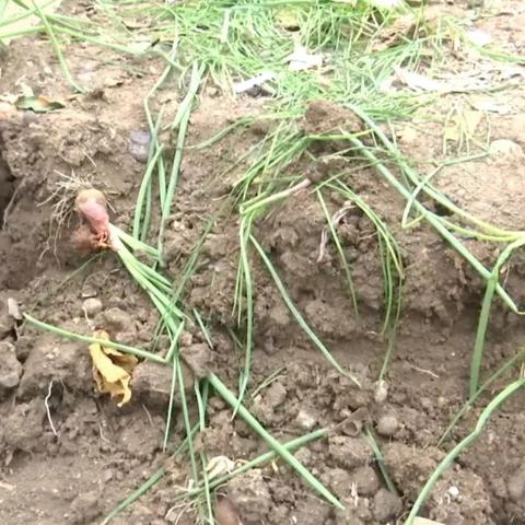 无锡市衣服改款店地址在哪里