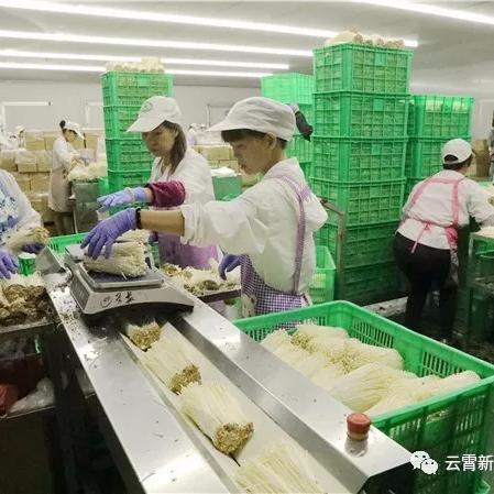 福建供应无尘布怎么样