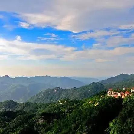 信阳红和宜兴红茶哪个好喝？