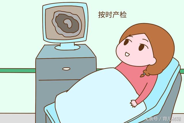 孕晚期37周孕妈需要什么营养