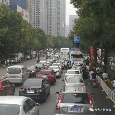 武汉市能骑九号什么型号