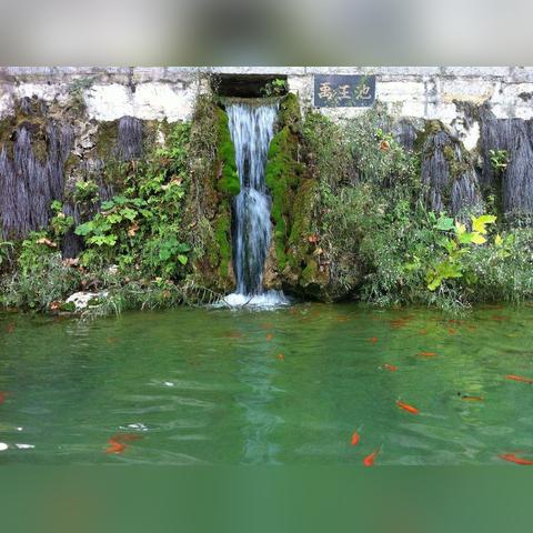 河南旅游佛的相关长尾关键词有哪些