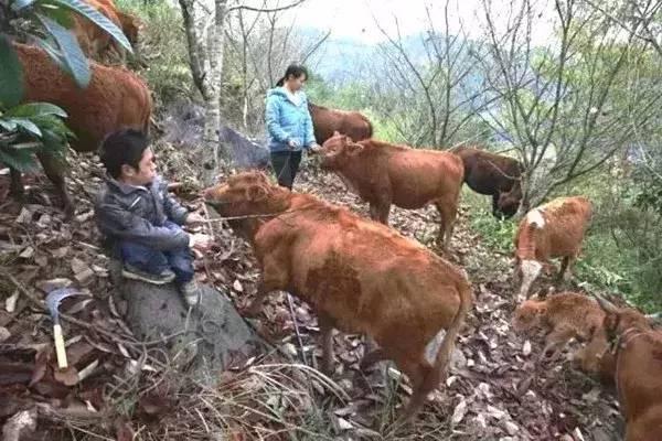 鞋店起名牛宝宝取名怎么样（天津的市中心到底是哪里）