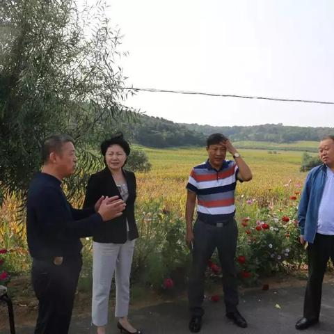 沈阳到湾沟客车相关长尾关键词有哪些
