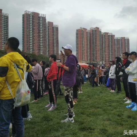 兰州市批发草莓在哪里