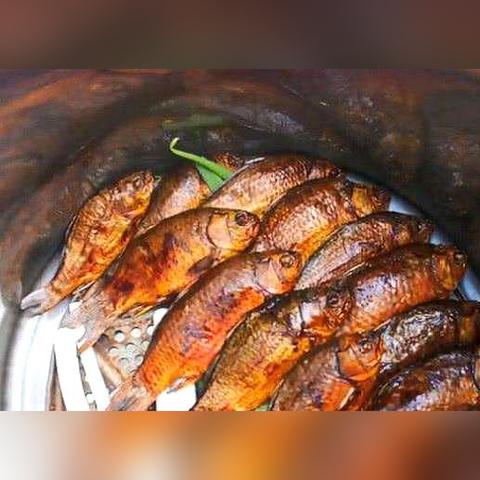 河南适合养殖什么鱼