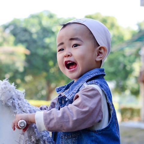 起跑线儿歌大全.歌曲起跑线？