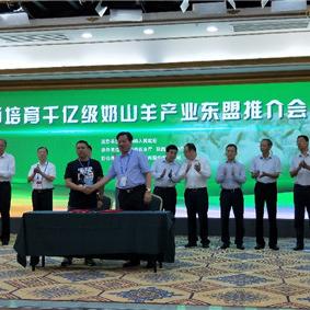 南宁乳品防伪溯源的相关长尾关键词有哪些