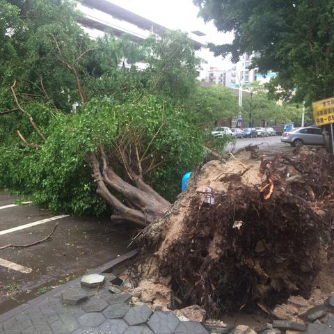 广东佛山市交通改革方案的长尾关键词有什么