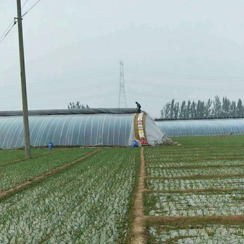 济南市全年日照时数？