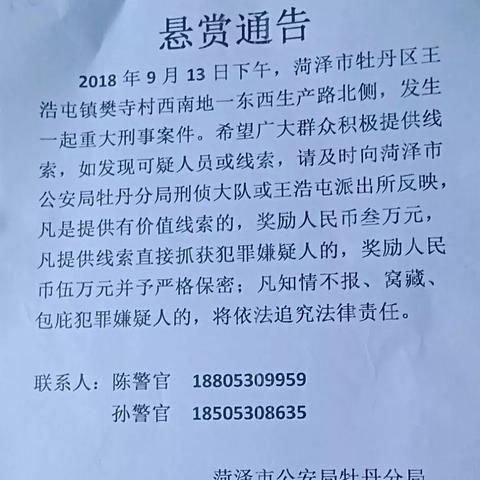 菏泽市最高楼是多少层