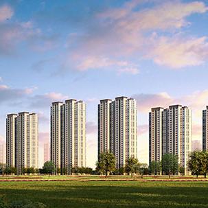 哈尔滨市哪里有卖鹰鹜