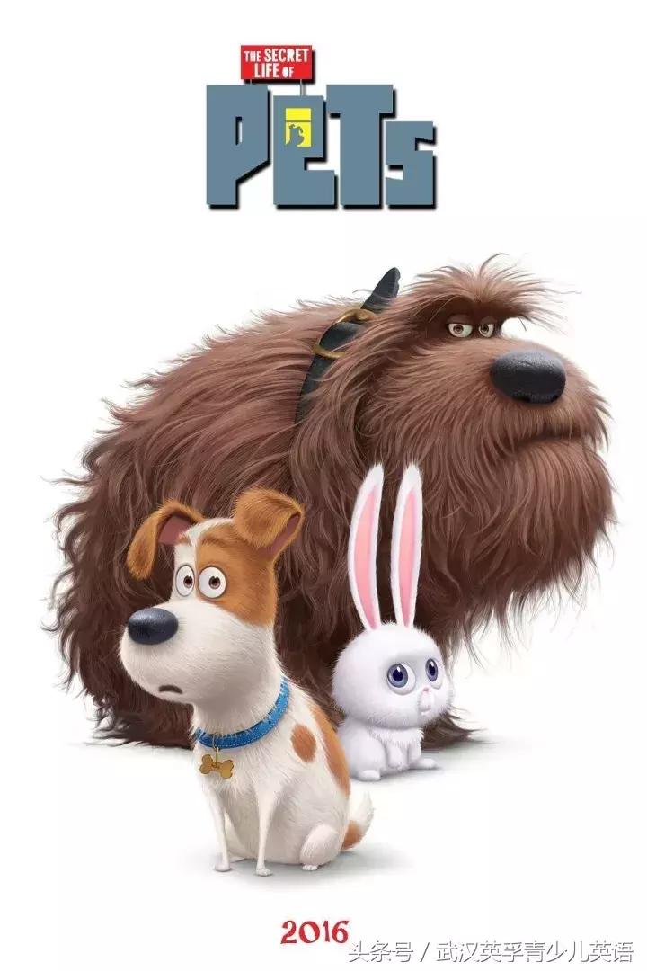  Exploring the Release Date of Secret Life of Pets: A Deep Dive into Its Impact on Animation and Audience Reception