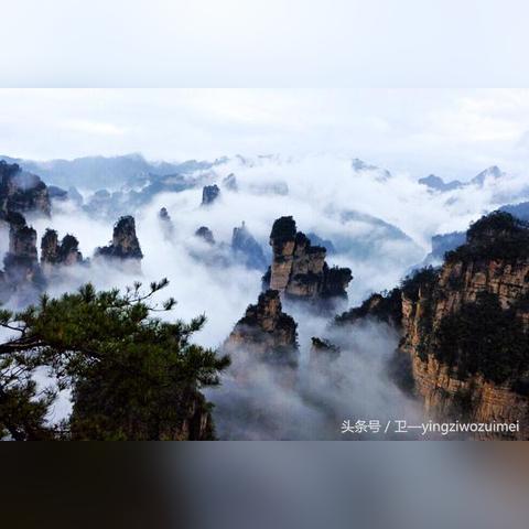张家界 济南 飞机票相关长尾关键词有哪些