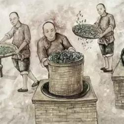 做茶生意的福建人都是什么人？