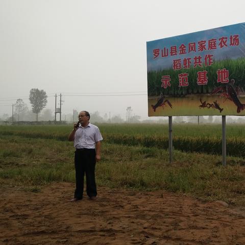 河南哪个地方养小龙虾多