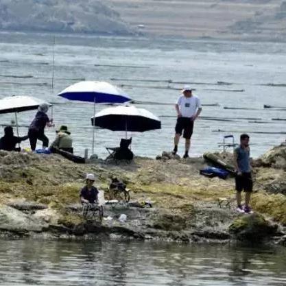 保定市街道钓鱼地点有哪些