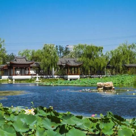 天津肌理画哪个牌子好
