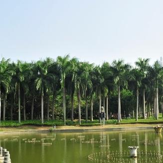 南宁市的市区在哪个区