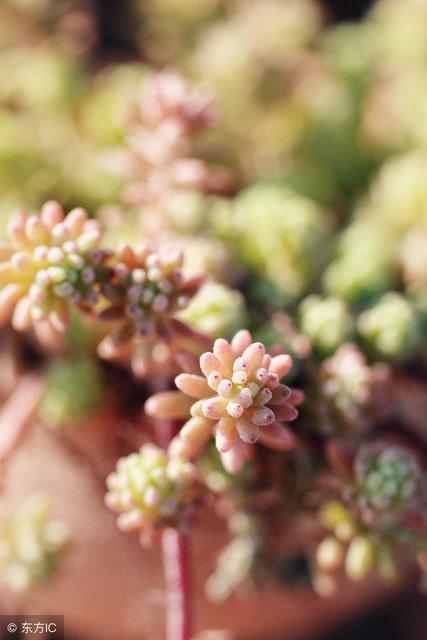 喜欢秋天的说说朋友圈