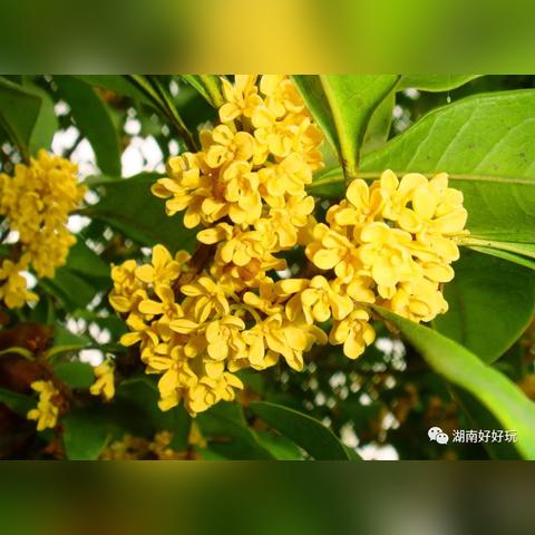 长沙站的地图相关长尾关键词有哪些