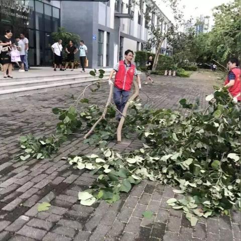 深圳见义勇为奖励办法？