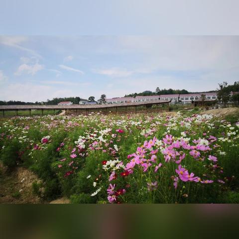 西山风景区教师资格证门票有优惠吗？