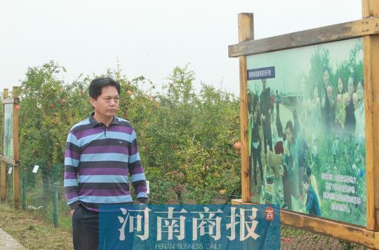 河南一媒体人转行创业卖石榴：先成立合作社，后建互联网销售平台